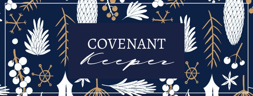 Covenant Keeper series art